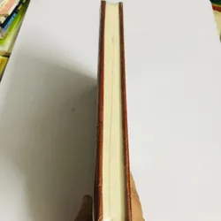 PHI TINH ĐẨU SỐ (Tập 1) – Trần Đoàn Sách bìa cứng, còn nguyên siêu, mới 100% 601895