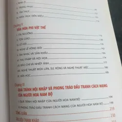 Văn Hóa Người Hoa Nam Bộ 655749