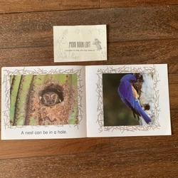 Combo 3c tập đọc Science Emergent Readers: Coral Reef; Desert; Nests, Nests, Nests, Used 477815