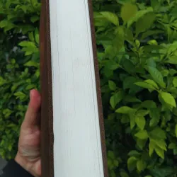 Leonardo Da Vinci của Walter Isaacson 972258