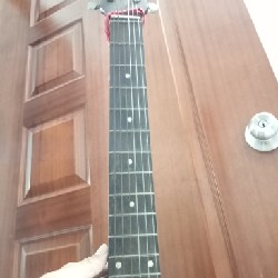 Đàn Guitar cho người mới tập 13890