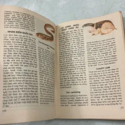 Streamline English Destinations - 1990s 783485