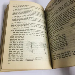 BONSAI - 172 trang, nxb: 1993  703011