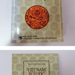 Việt Nam sử lược 