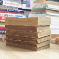 Đông Chu Liệt Quốc – Nguyên Đỗ Mục 929179