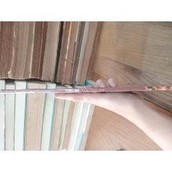 THỦY HỬ - THI NẠI AM 209314