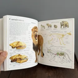 Từ điển màu Pocket visual dictionary mới 99.9% 791726
