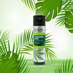 [CHĂM SÓC TÓC CHUYÊN SÂU – PHỤC HỒI HƯ TỔN] Dầu gội Cannabis Hair 74959