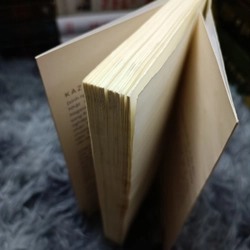 Cảnh đồi mờ xám 459887
