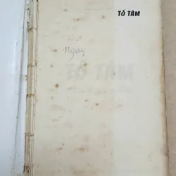 TỐ TÂM (tiểu thuyết tâm lý xã hội đầu tiên của VN viết bằng chữ Quốc ngữ) 735321