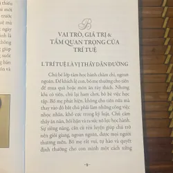 Trí Tuệ - HT Thích Tâm Hạnh - Thiền Viện Trúc Lâm Bạch Mã 604123
