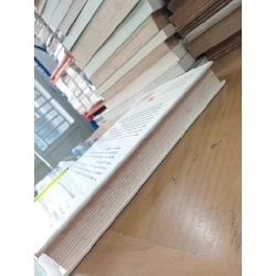 Predictable surprises - M. H. Bazerman, M. D. Watkins 1031276