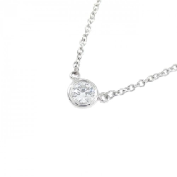 Dây chuyền Tiffany By The Yard - Hàng hiệu Authentic 843137