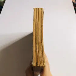 555 MÓN ĂN VIỆT NAM KỸ THUẬT CHẾ BIẾN VÀ GIÁ TRỊ DINH DƯỠNG  780553