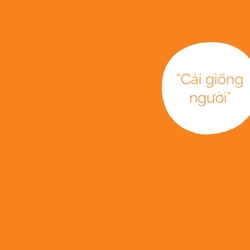 Combo Triết lí về con người (4 quyển) 539515