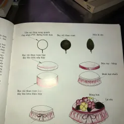 Nghệ thuật làm voan - Quỳnh Nhiên 1025777