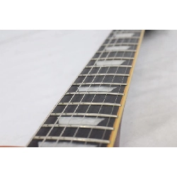 ＥＰＩＰＨＯＮＥ LP STANDARD PLUS TOP PRO - Hàng hiệu Authentic 879323