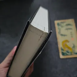 Nightbane - alex aster 776975