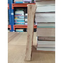 1-900 anytime - Tracy Price-Thompson 674487