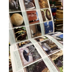 The Source Book : Plant, materials, products & ideas for today's outdoor spaces & where to get them - Jamie Durie 450218