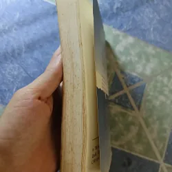 Quỳnh Dao - Trôi theo dòng đời 932630