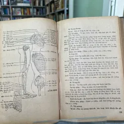 CHÂM CỨU HỌC THỰC HÀNH TRỊ LIỆU THẦN KINH HỌC 561966