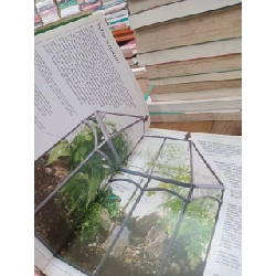 Matter - Collins Eyewitness Science 758662