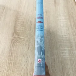 VÙNG ĐẤT NAM BỘ ( T9) - tộc người và quan hệ tốc người) 991264