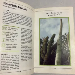 Les Cactees (Xương rồng - trong nhà và ngoài trời) 778695