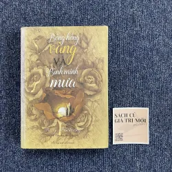 Bông hồng vàng và bình minh mưa 