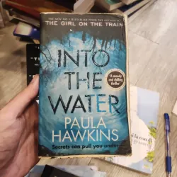Paula Hawkins Set (2 Books): The Girl on the Train & Into the Water 975979