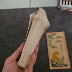 Chúng ta thoát thai từ đâu 745870