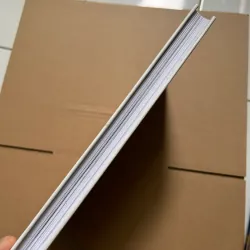 Alpha woman - Thành công ngoài vùng an toàn - Ngô Thanh Vân 744798