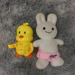 Vịt con và thỏ trắng