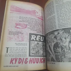 KIẾN THỨC NGÀY NAY số 280 ngày 10.05.1998 714597