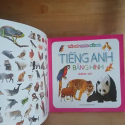 Tiếng Anh Bằng Hình (Bộ 4 Cuốn) - Tịnh Lâm biên soạn 673856