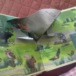 Atlas Đa Tương Tác Về Động Vật Hoang Dã 1009877