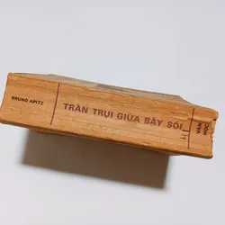 Trần Trụi Giữa Bầy Sói - Bruno Apitz 720392
