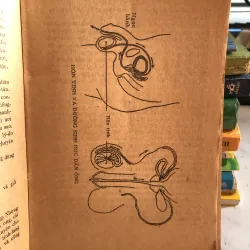 Mang nặng đẻ đau - hay là tất cả các vấn đề thai nghén- BS Trần Ngọc Ninh và Trần Việt Sơn 1001827