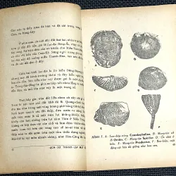 LỊCH SỬ THÀNH LẬP ĐẤT VIỆT 1000112