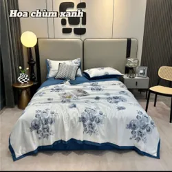Bộ ga lụ thái 590777