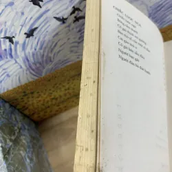 Con Ma Da, Chiếc Lược Ngà - Nguyễn Quang Sáng 925731