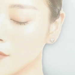 Bông tai Tiffany Sentimental 665766