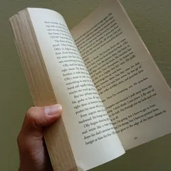 Everything, sách ngoại văn tiếng Anh english book tiểu thuyết  701716