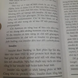 Bệnh Tiểu Đường -cách phát hiện và điều trị. Bác Sỹ Bạch Minh  693723