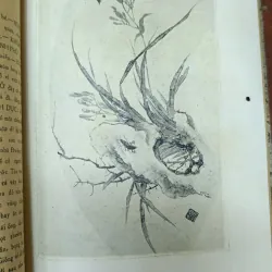 TRÊ CÓC - CHÚ GIẢI: NGUYỄN HỮU ÁI 715442