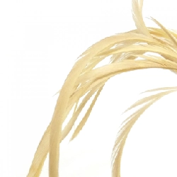 【新品】Prada 1TL450 móc khóa túi 622516