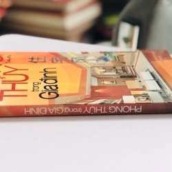 PHONG THUỶ TRONG GIA ĐÌNH  - 255 trang, nxb: 2010 493405