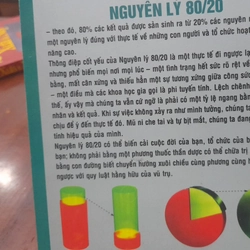 Richard Koch - NGUYÊN LÝ 80/20, bí quyết làm ít được nhiều 550470