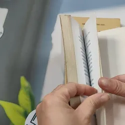 Combo: Nhân Quả Báo Ứng, Báo Ứng Hiện Đời 776102